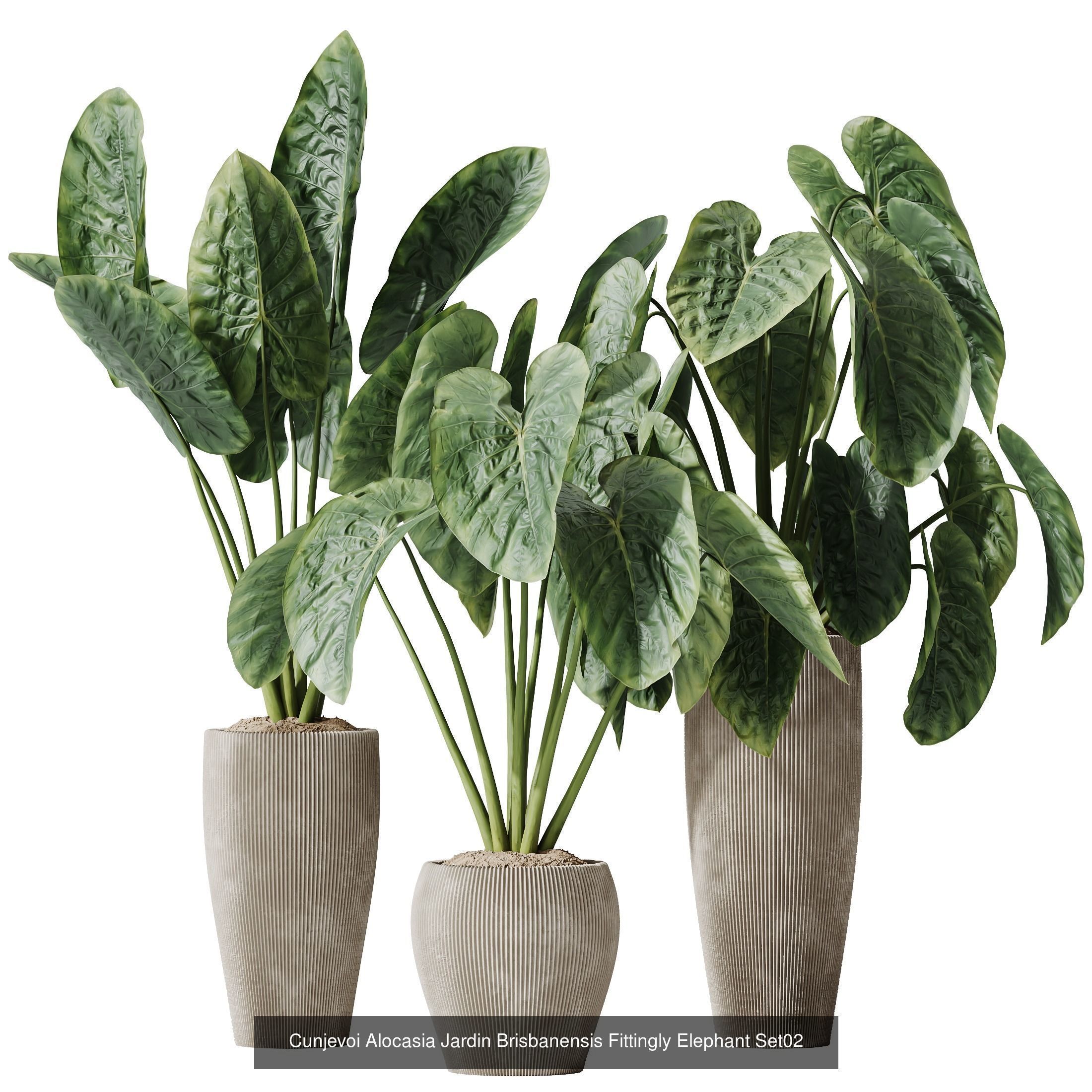 12 Different SETS of Plant Indoor SET VOL157 3D Model Collection_11