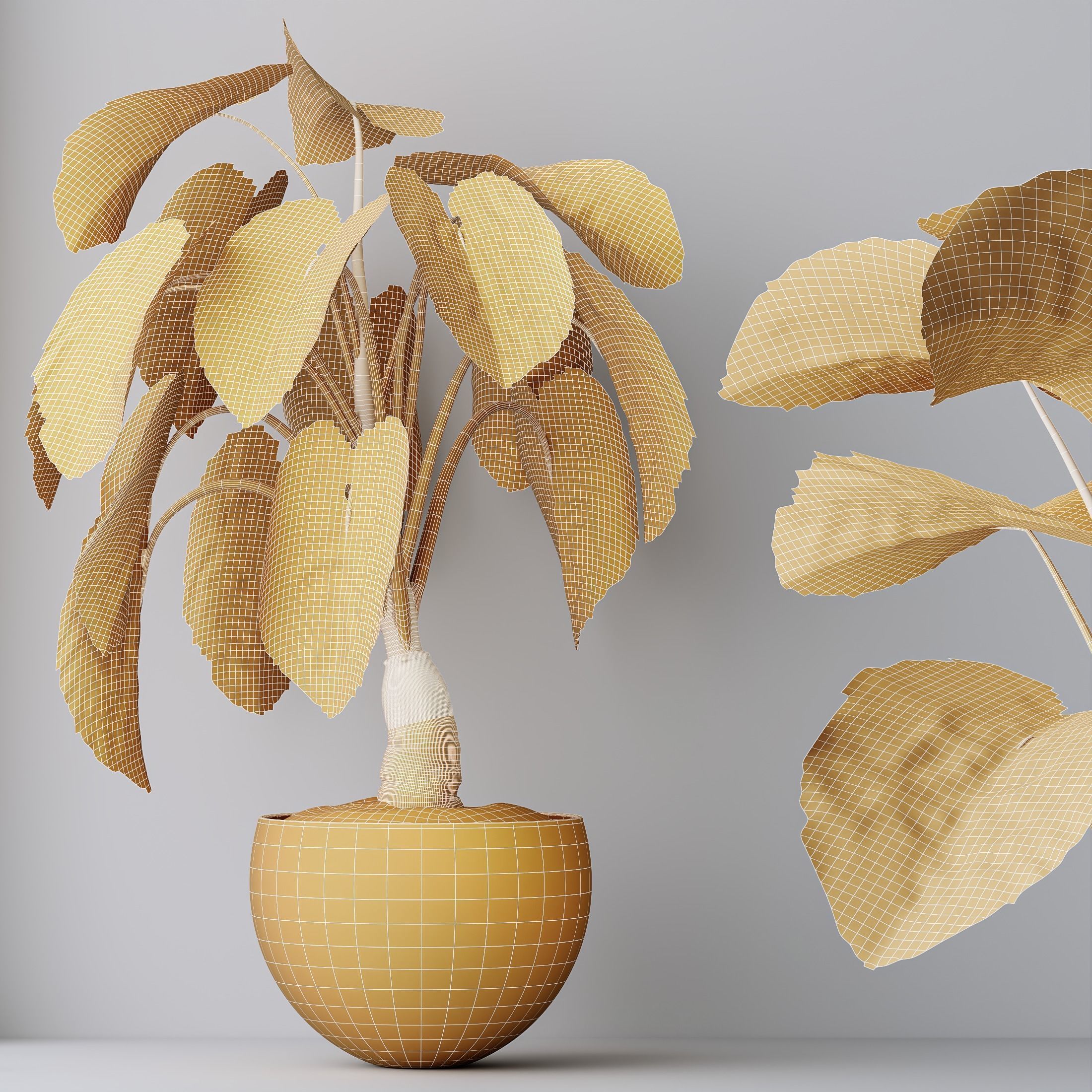 12 Different SETS of Plant Indoor SET VOL157 3D Model Collection_41