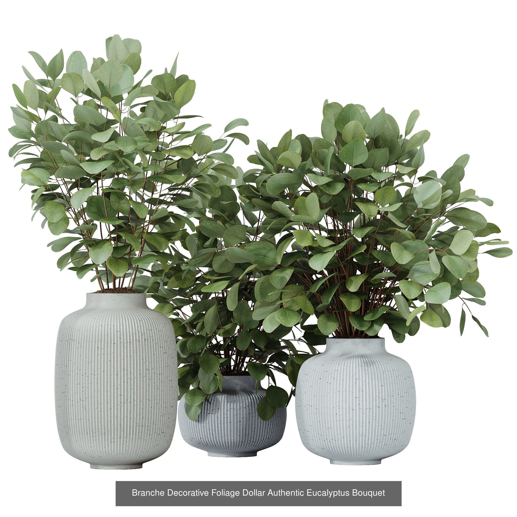 12 Different SETS of Plant Indoor SET VOL157 3D Model Collection_13