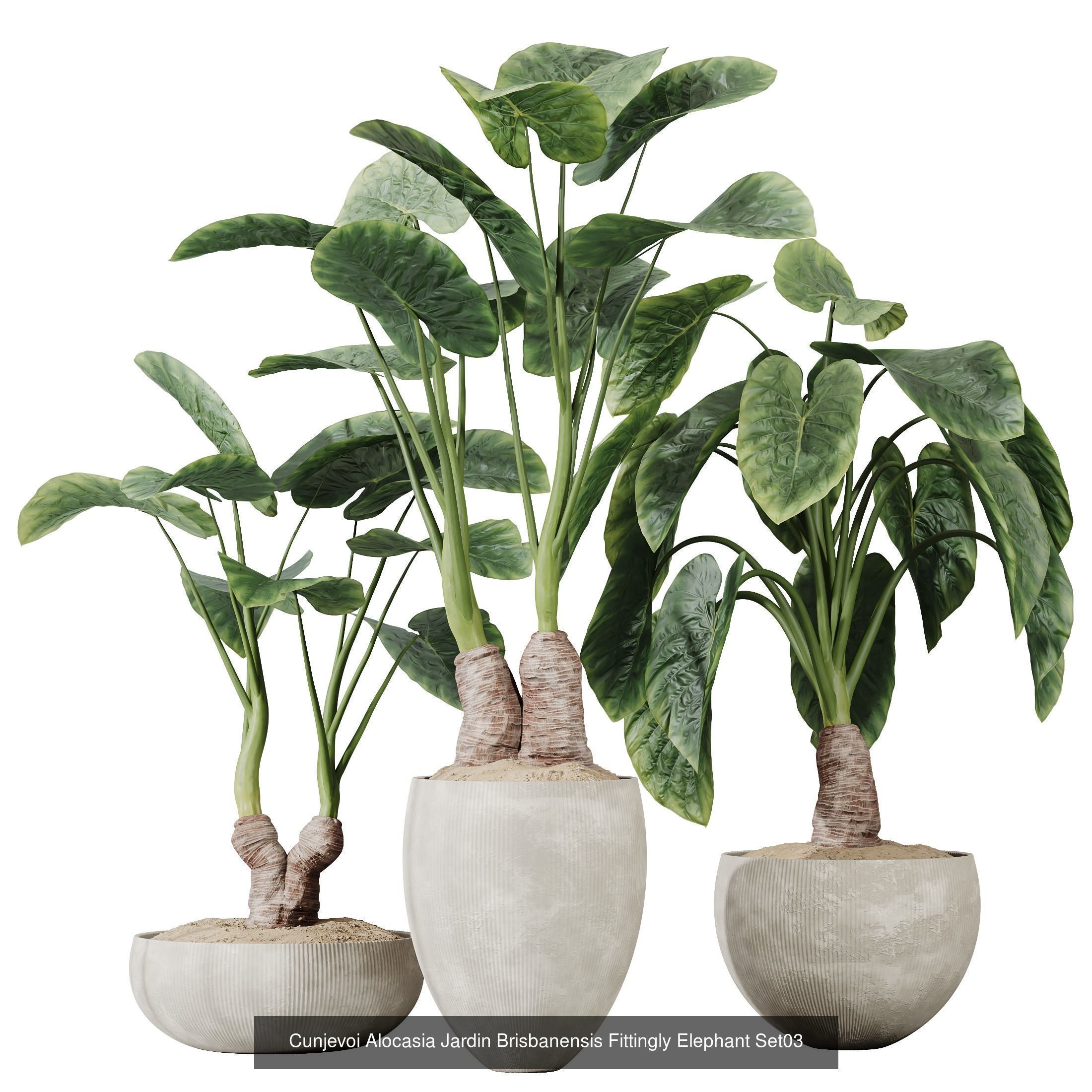 12 Different SETS of Plant Indoor SET VOL157 3D Model Collection_12