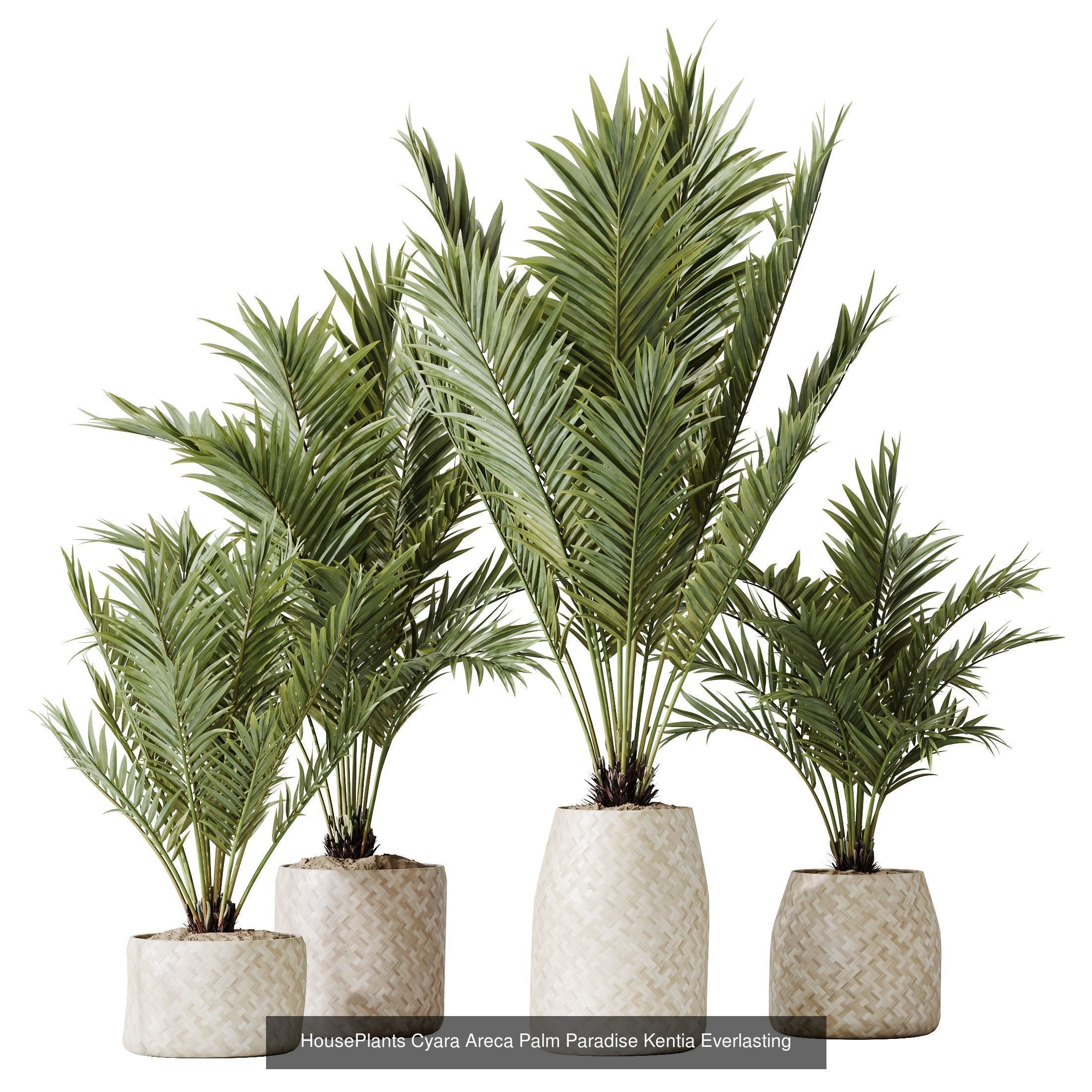 12 Different SETS of Plant Indoor SET VOL157 3D Model Collection_8