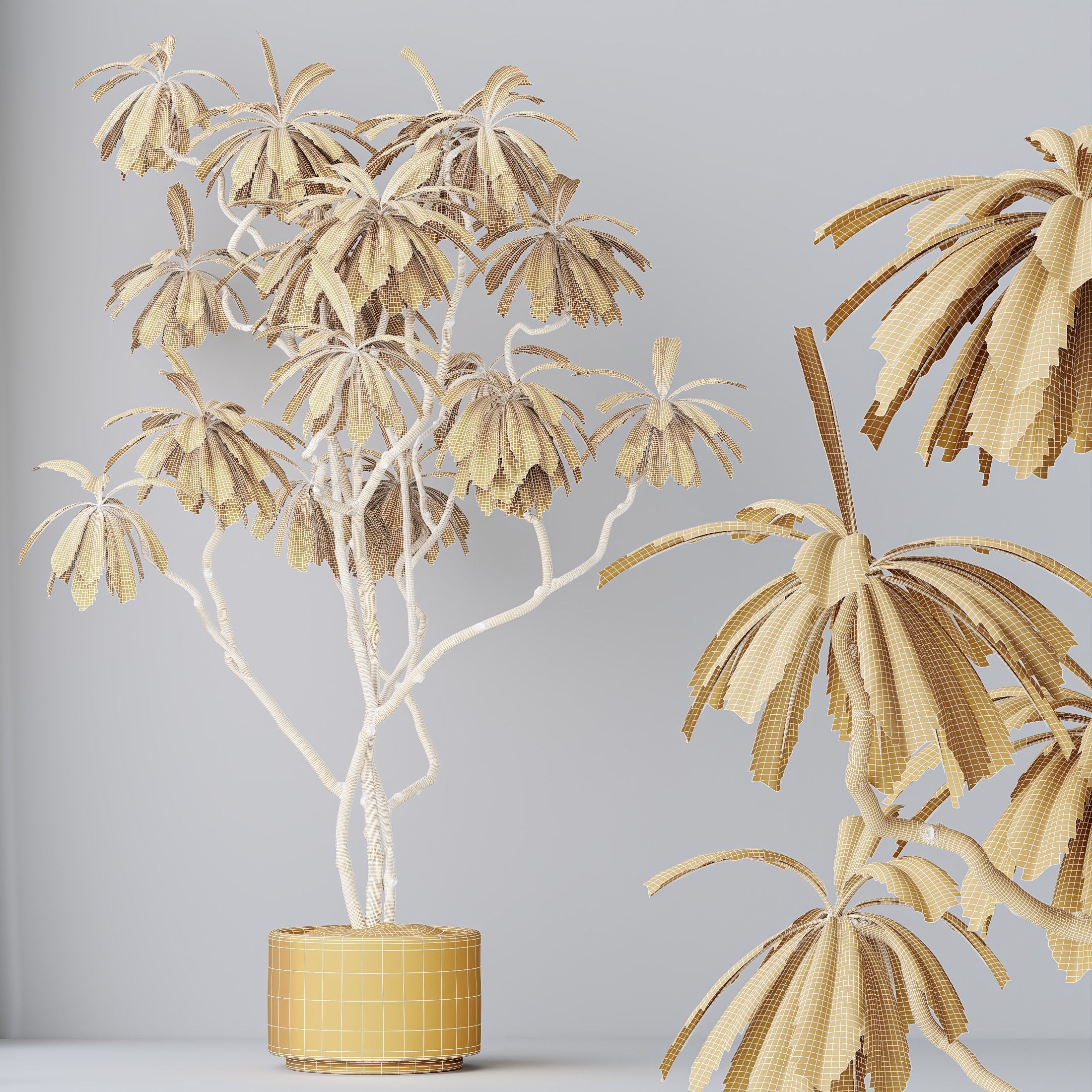 12 Different SETS of Plant Indoor SET VOL157 3D Model Collection_47