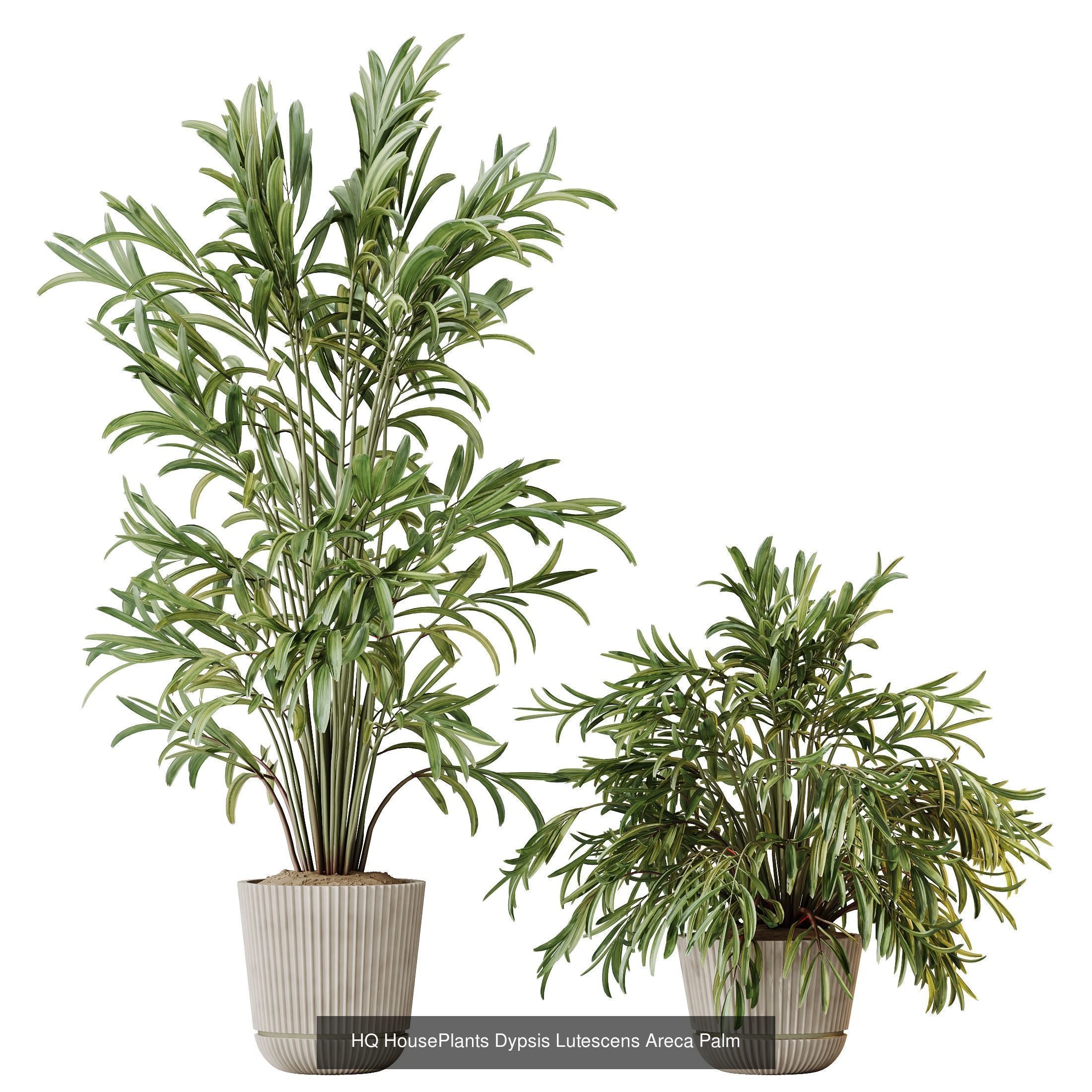 12 Different SETS of Plant Indoor SET VOL157 3D Model Collection_6
