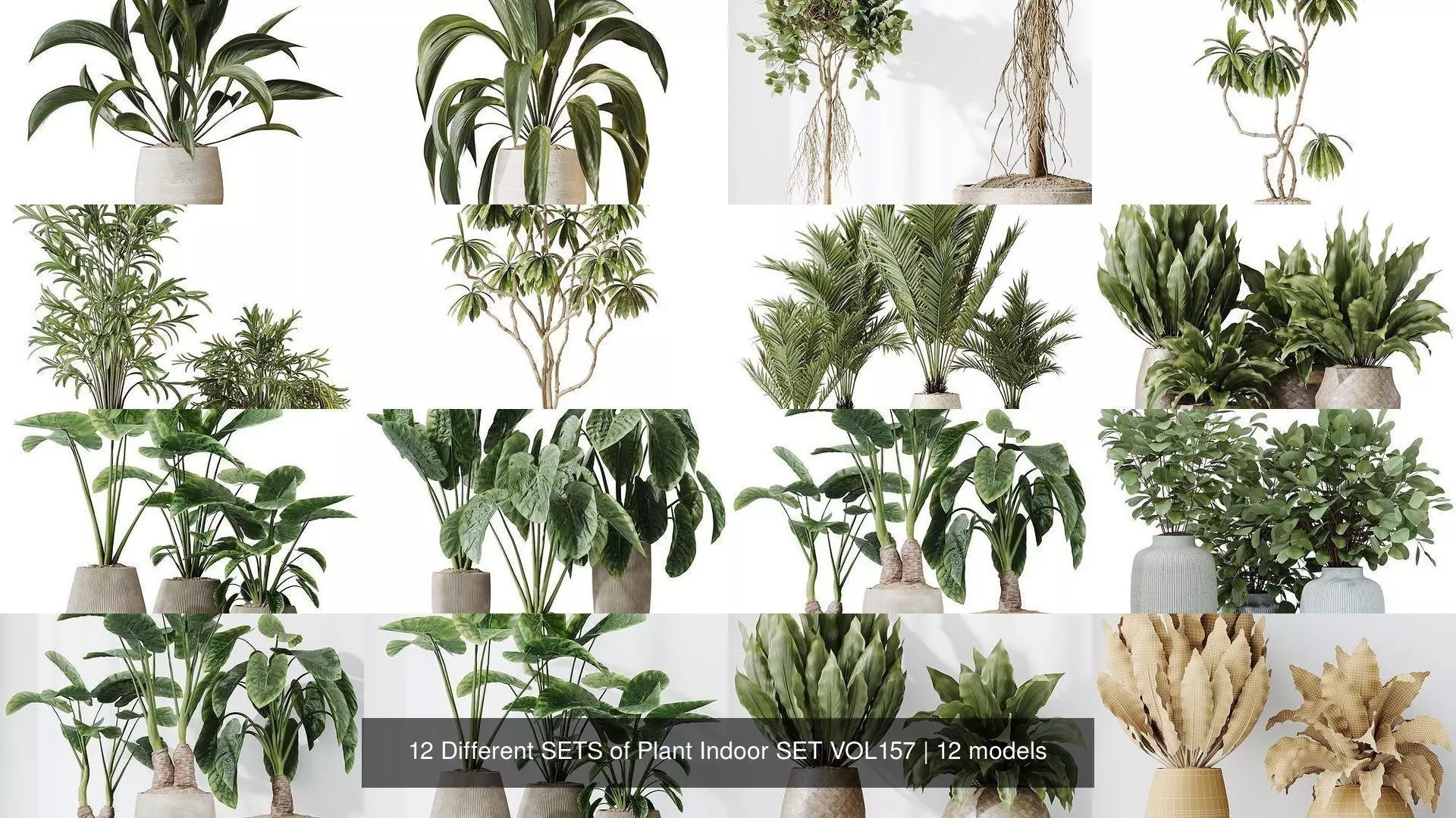 12 Different SETS of Plant Indoor SET VOL157 3D Model Collection_1