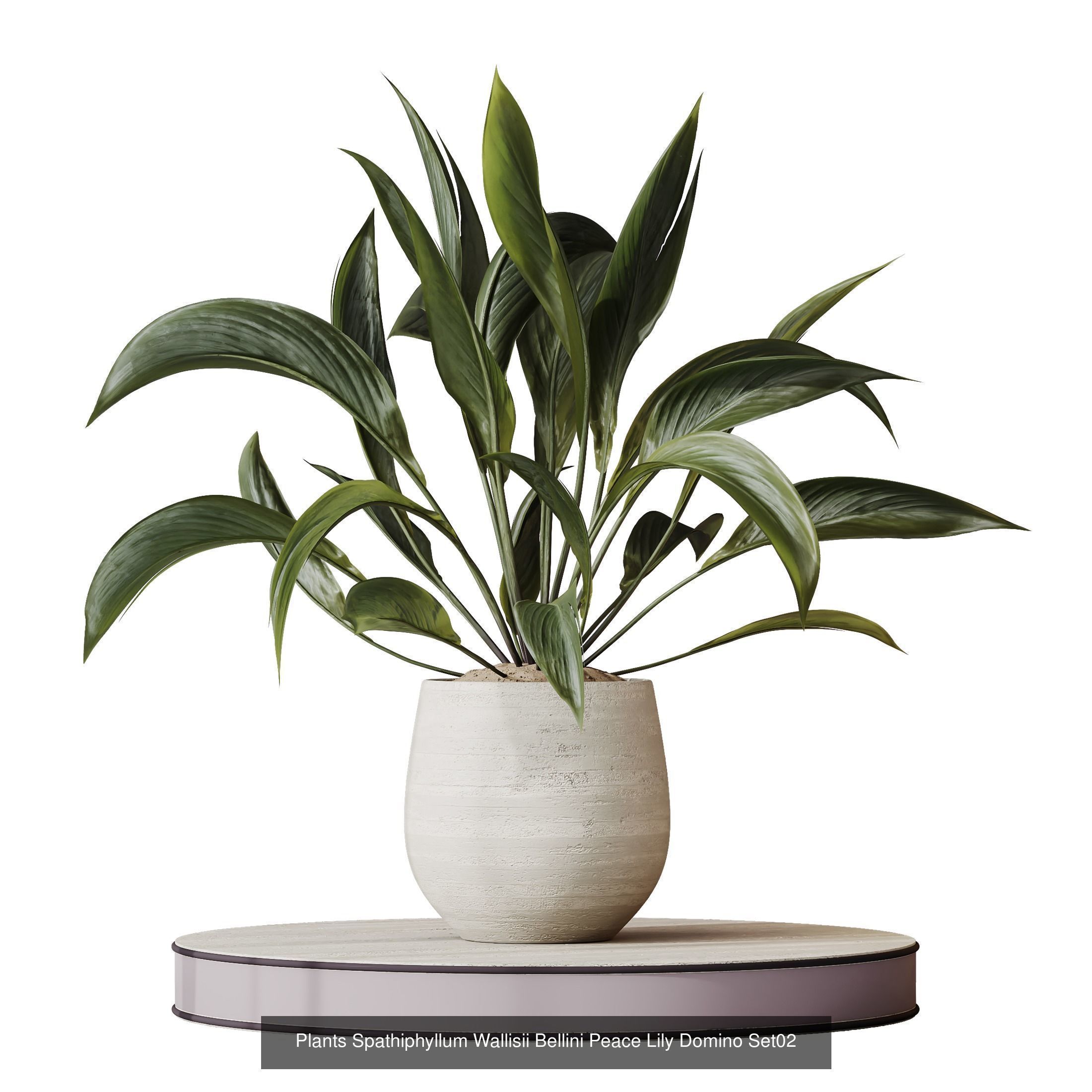 12 Different SETS of Plant Indoor SET VOL157 3D Model Collection_2