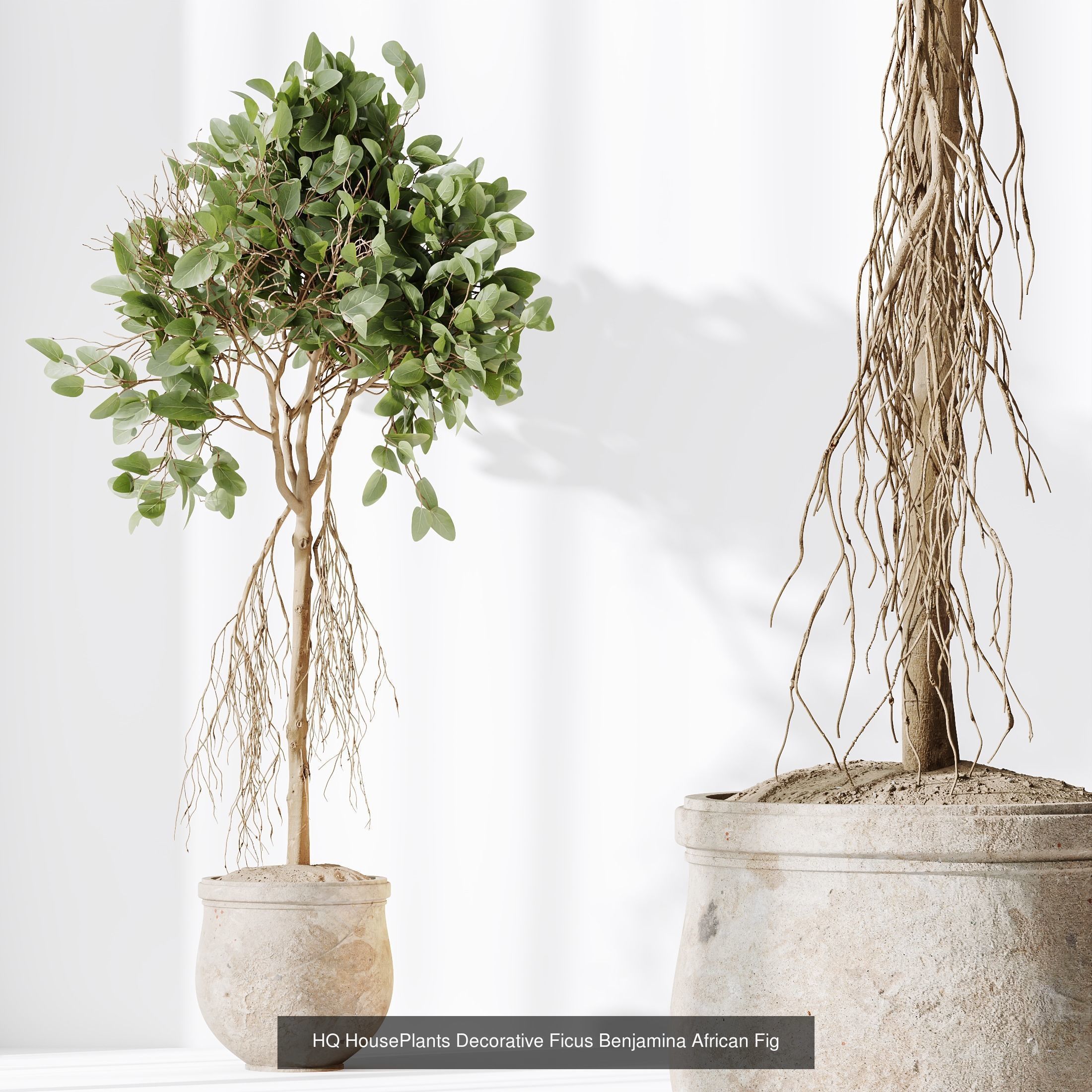 12 Different SETS of Plant Indoor SET VOL157 3D Model Collection_4