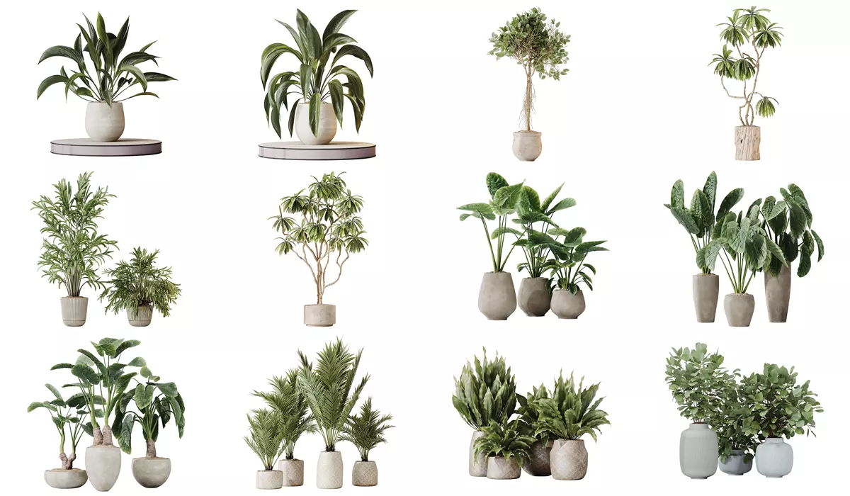 12 Different SETS of Plant Indoor SET VOL157 3D Model Collection_0