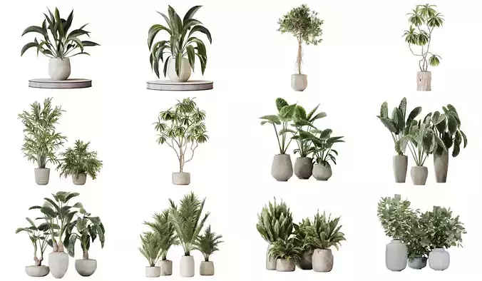 12 Different SETS of Plant Indoor SET VOL157 3D Model Collection