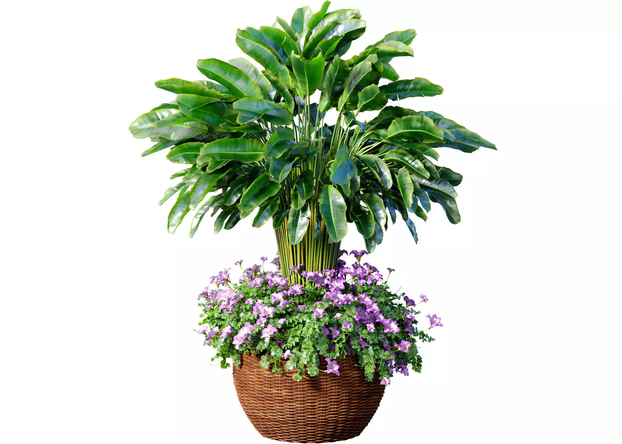 A fern with flowerbed garden planter Container Garden Provence 3D model