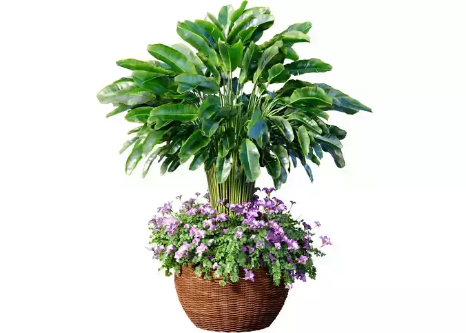 A fern with  flowerbed garden planter Container Garden Provence