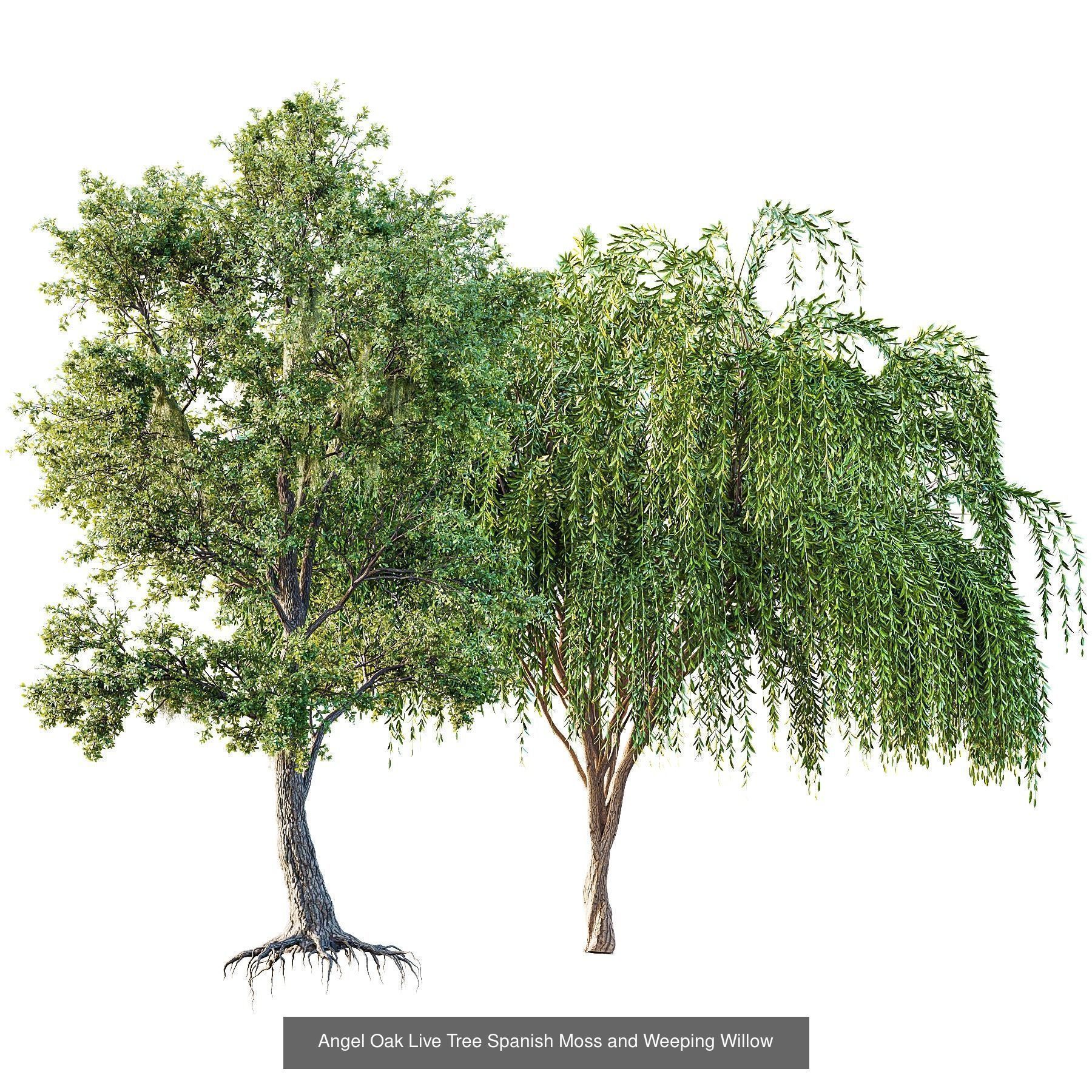 12 Different SETS of Plant Tree SET VOL158 3D Model Collection_10