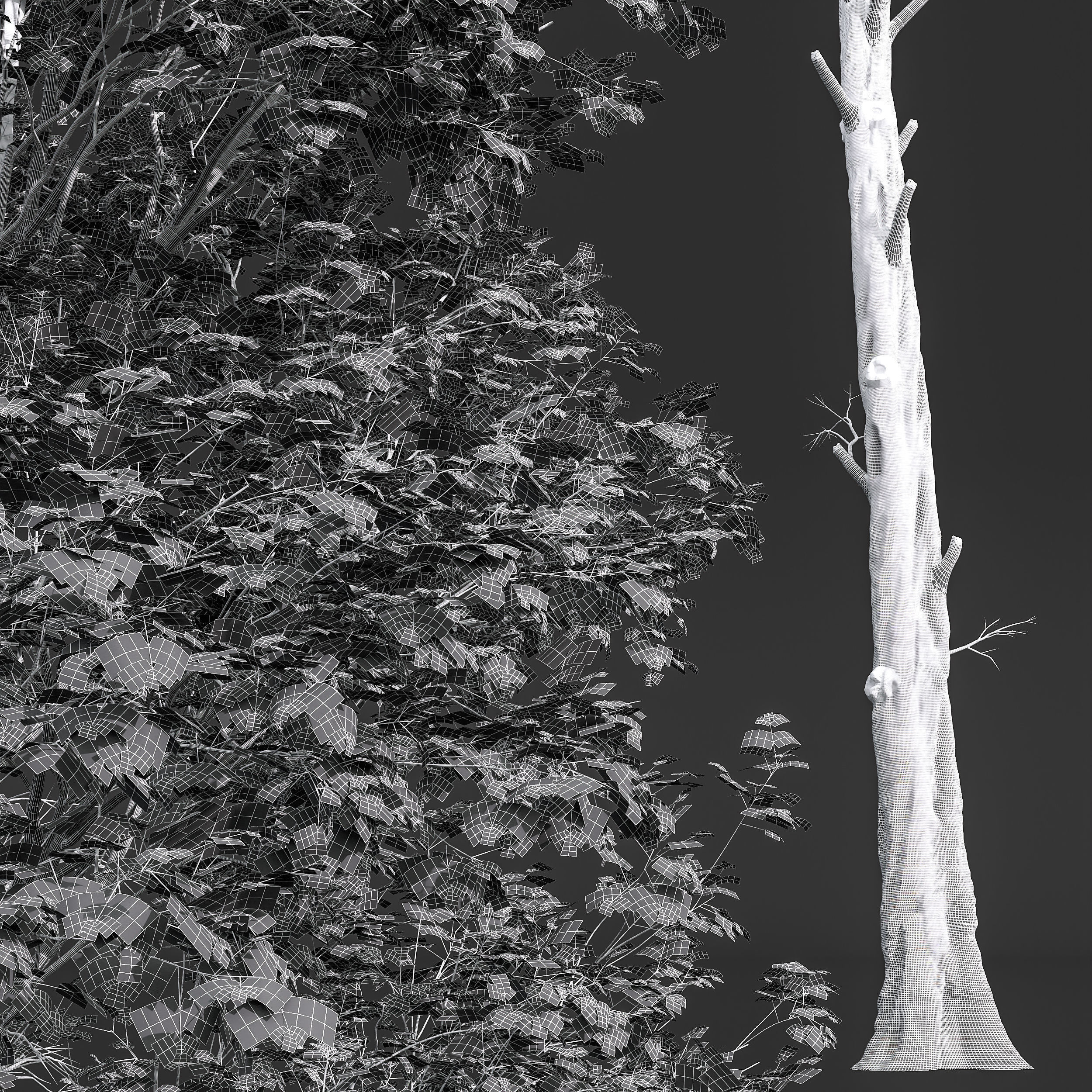 12 Different SETS of Plant Tree SET VOL158 3D Model Collection_51