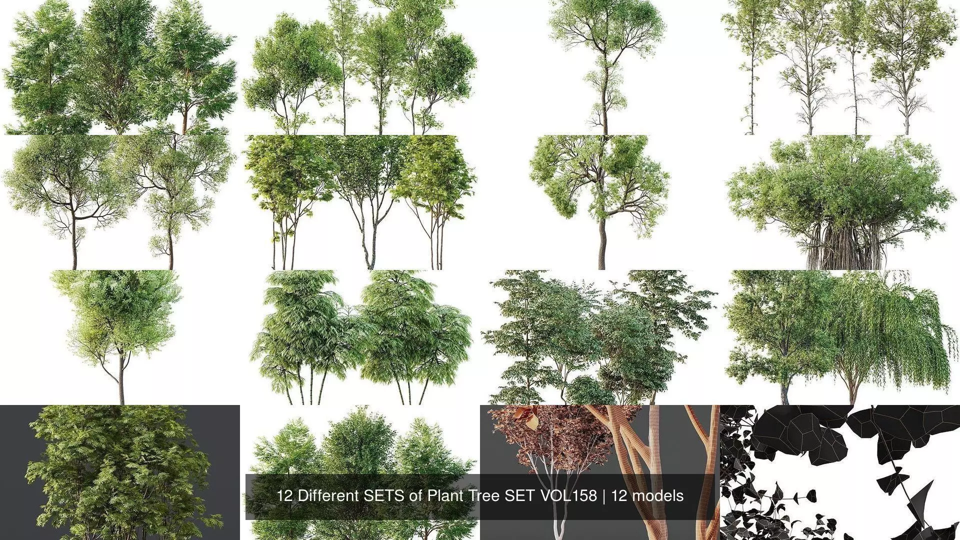 12 Different SETS of Plant Tree SET VOL158 3D Model Collection_1