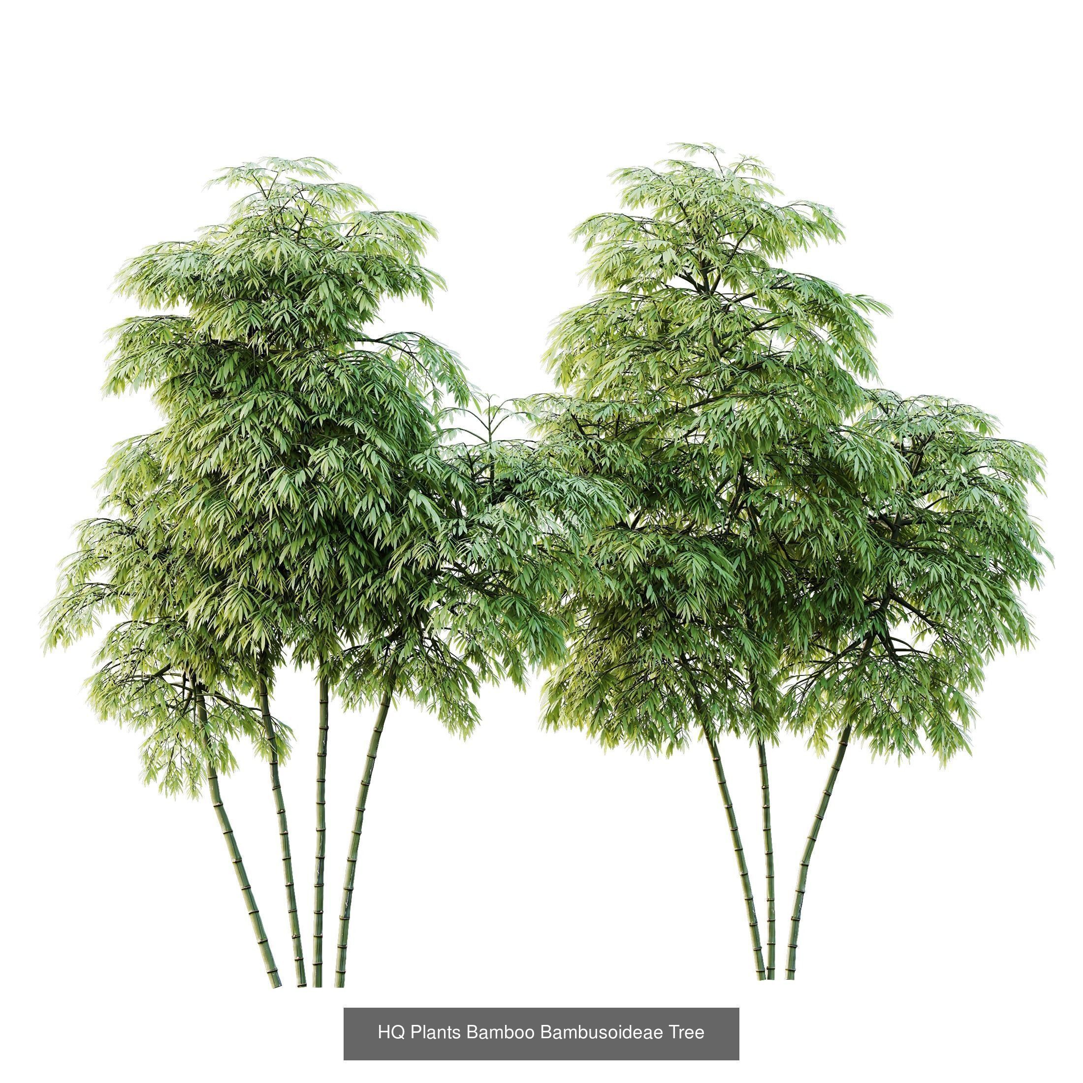 12 Different SETS of Plant Tree SET VOL158 3D Model Collection_7
