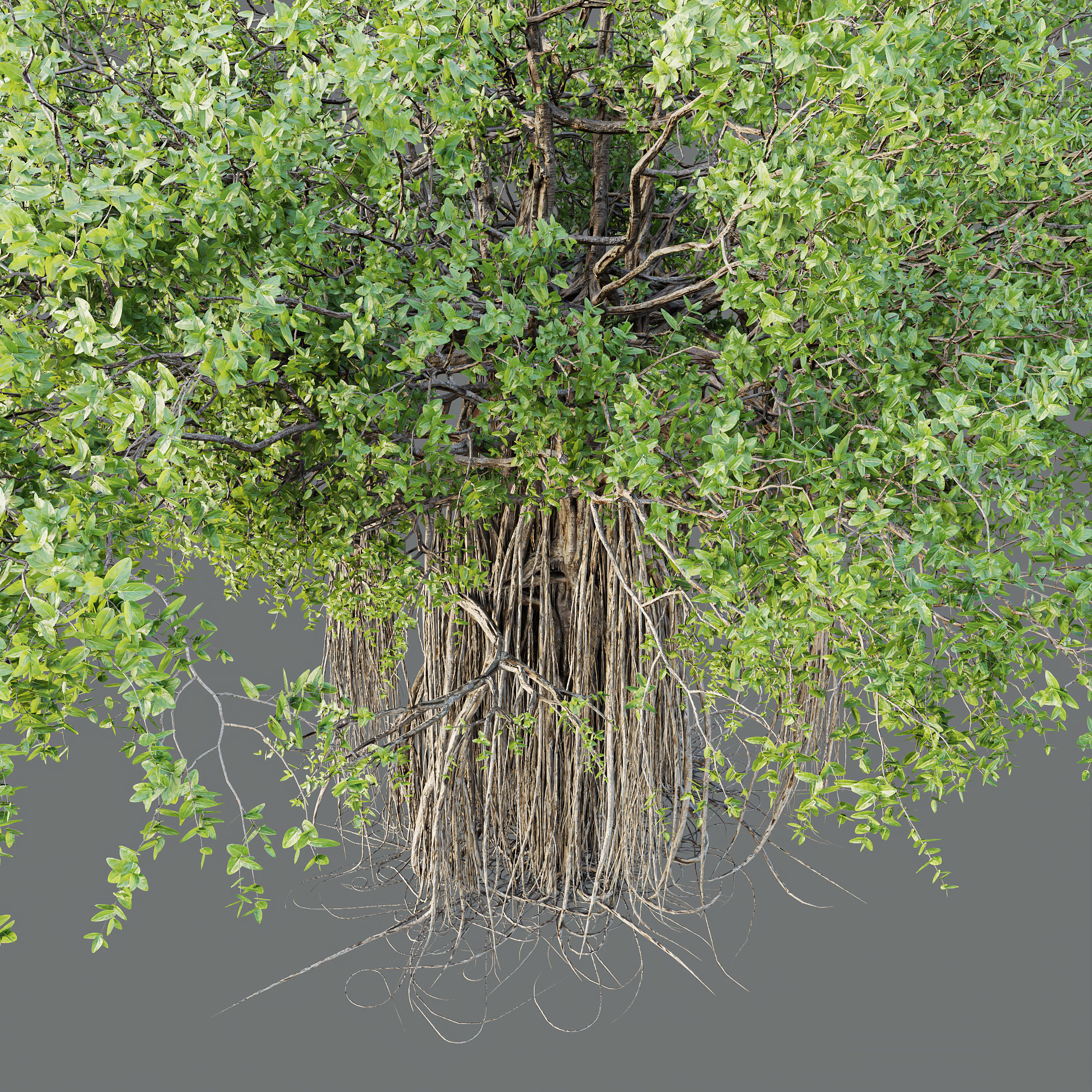 12 Different SETS of Plant Tree SET VOL158 3D Model Collection_38