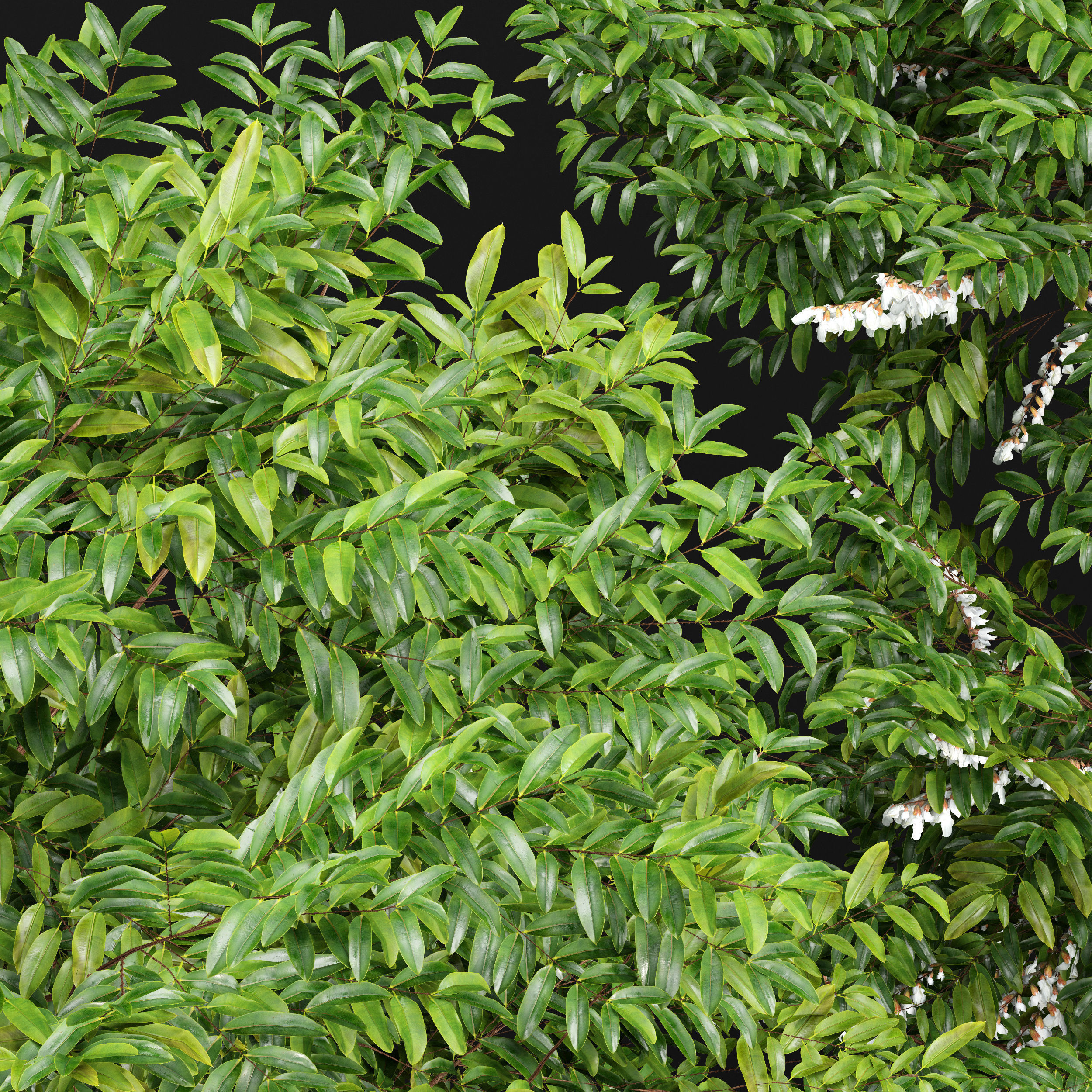 12 Different SETS of Plant Tree SET VOL158 3D Model Collection_27