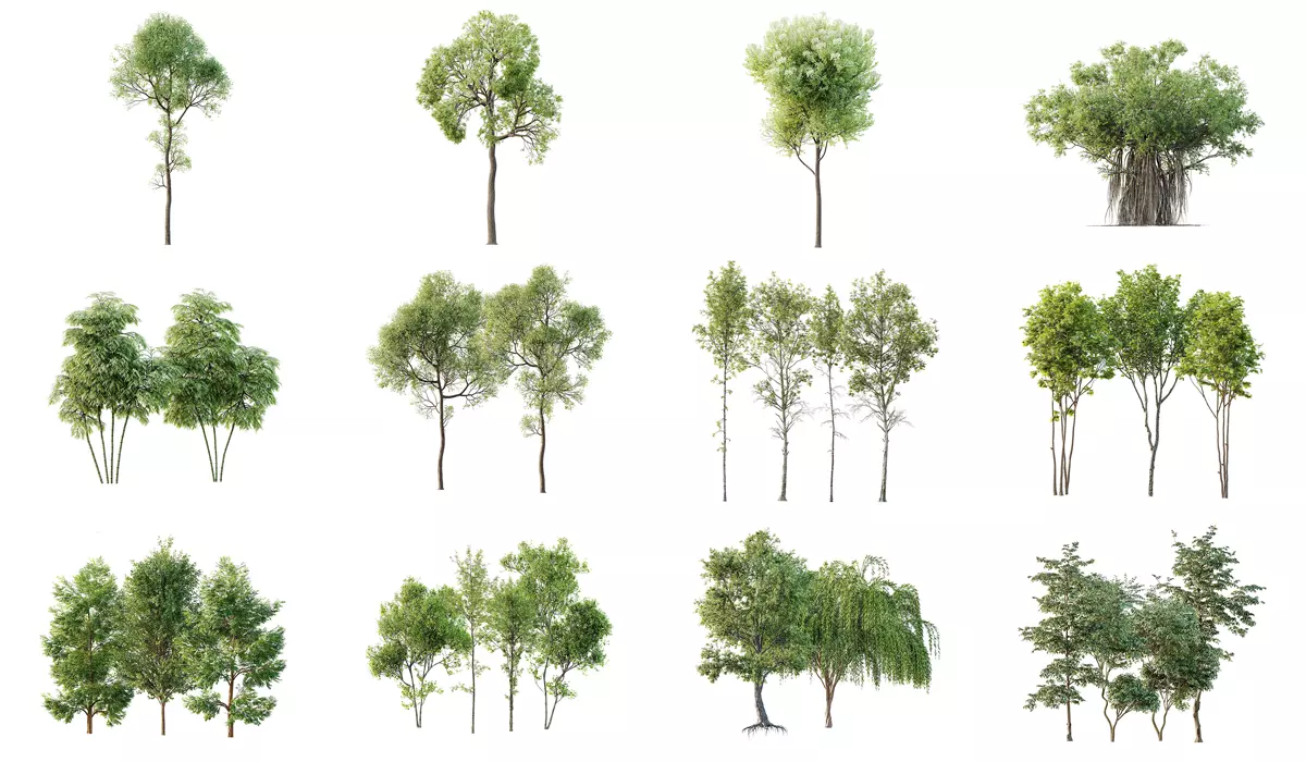 12 Different SETS of Plant Tree SET VOL158 3D Model Collection_0