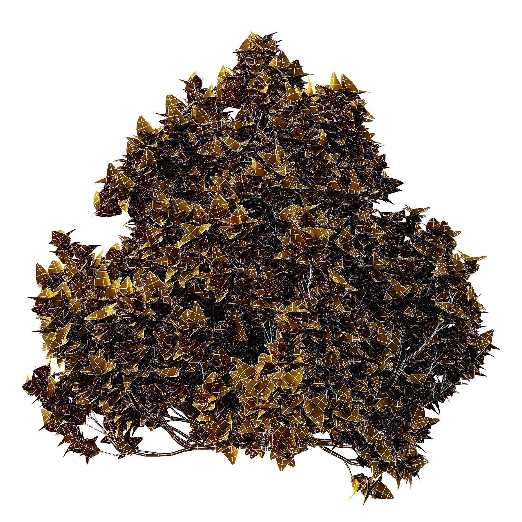 Cypress Bush 06 3D model_6