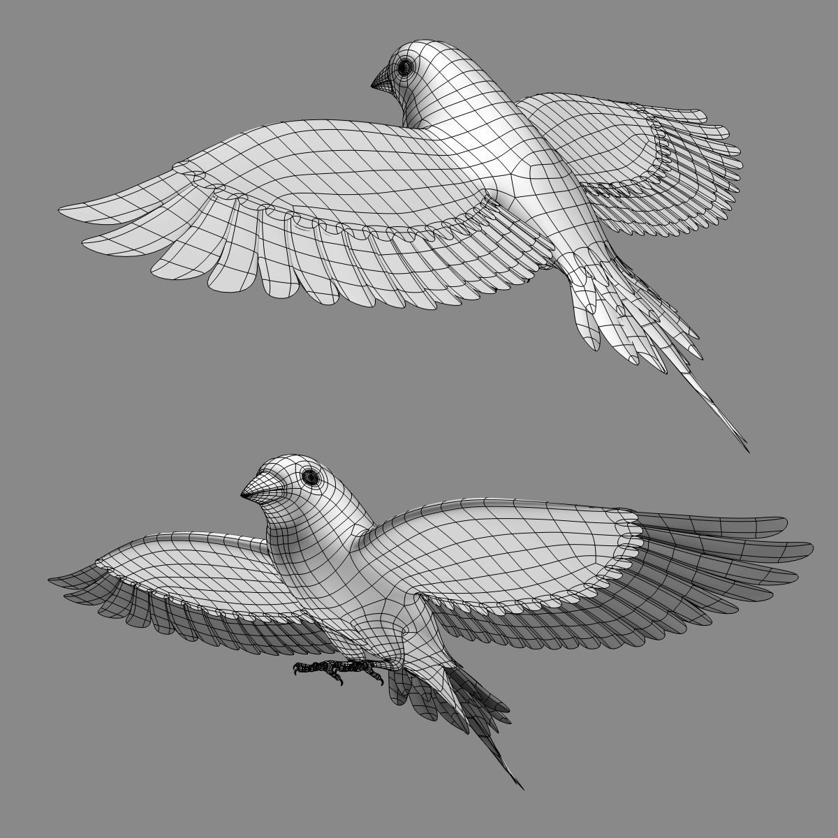 Finch - Flight 3D model_17