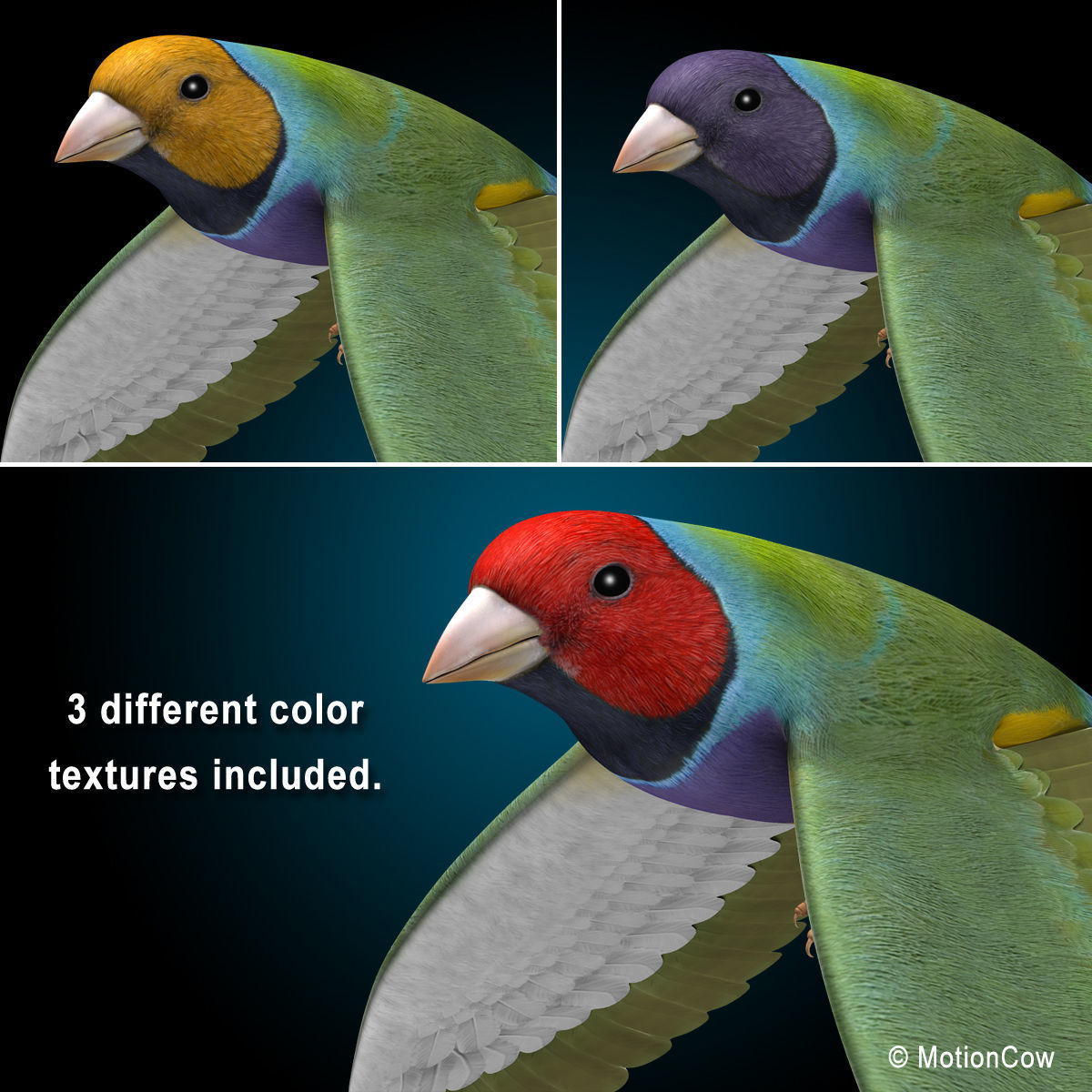 Finch - Flight 3D model_14