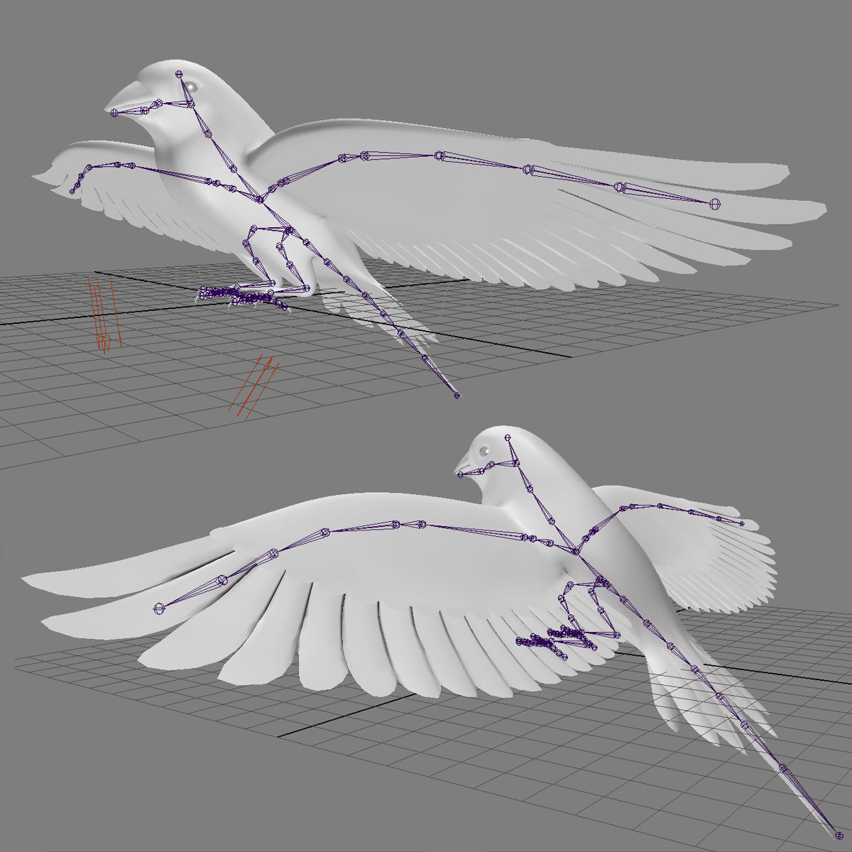 Finch - Flight 3D model_16