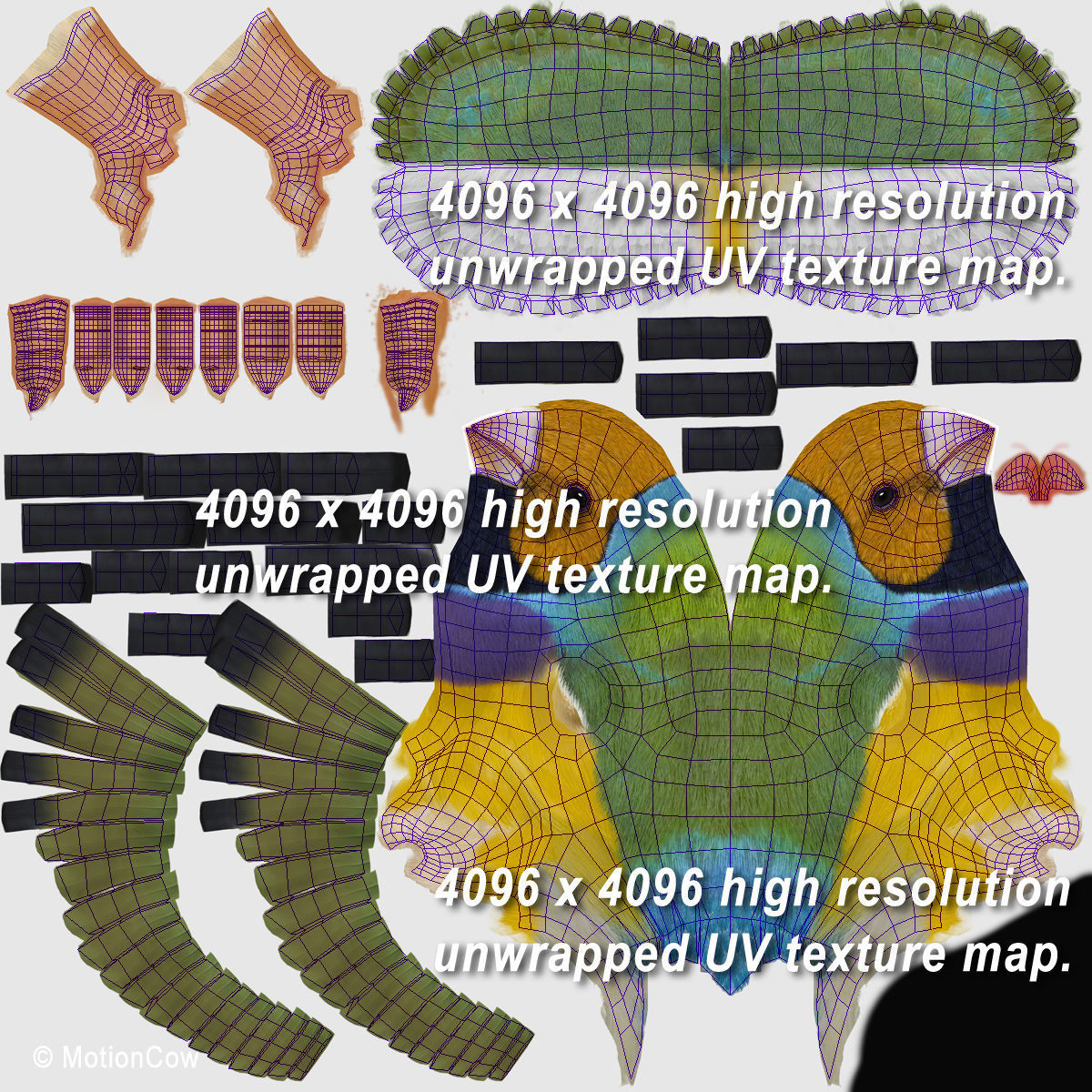 Finch - Flight 3D model_18