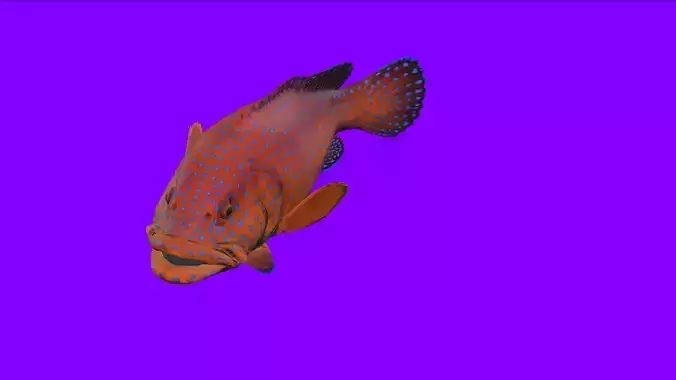 Fish Animation 3d model Low-poly 3D model