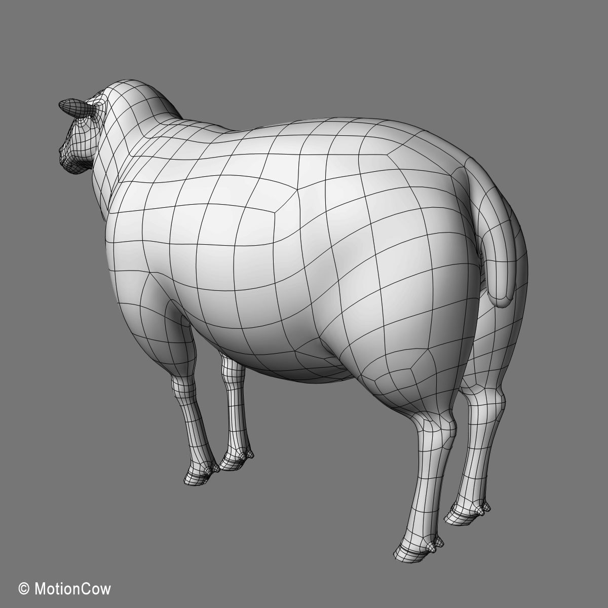 Sheep 3D model_13