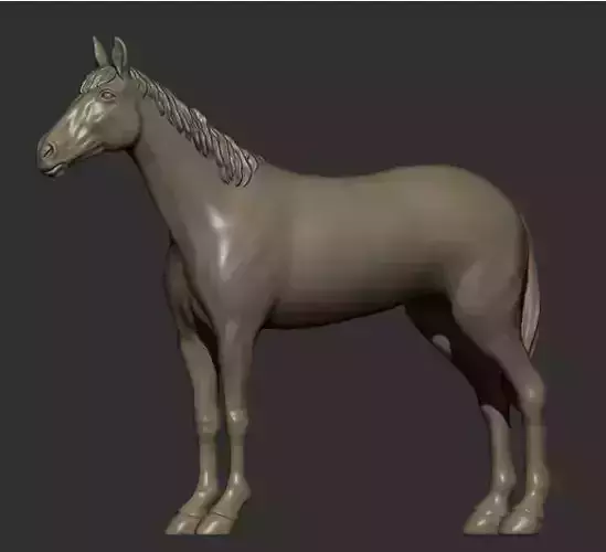 Horse 
