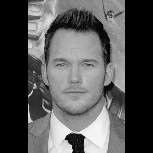 PopFace BaseMesh - Chris Pratt 3D model_1