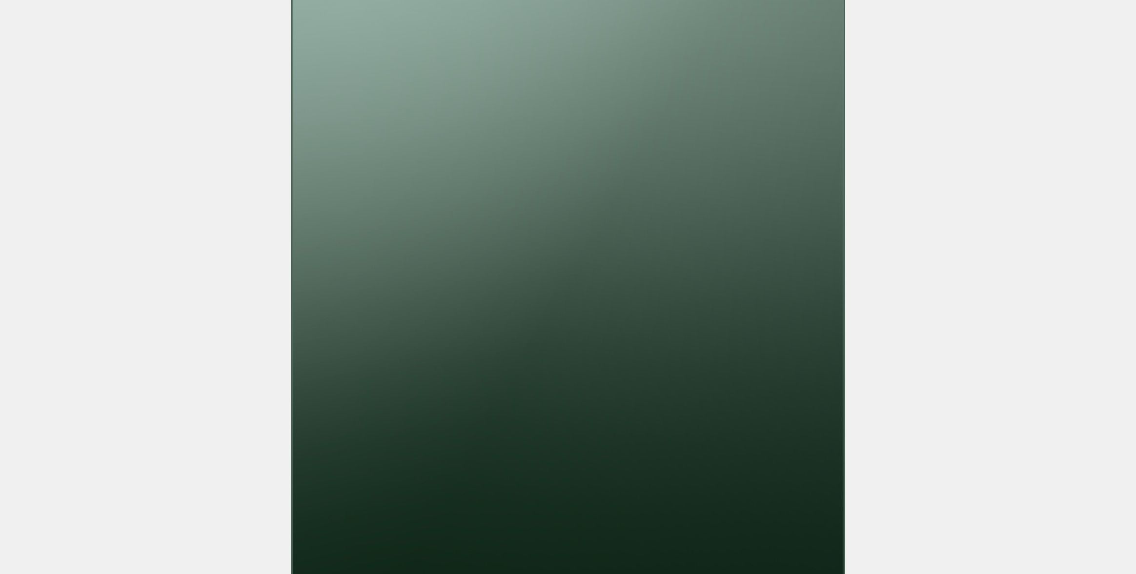 BODARP Front for dishwasher Low-poly 3D model_11