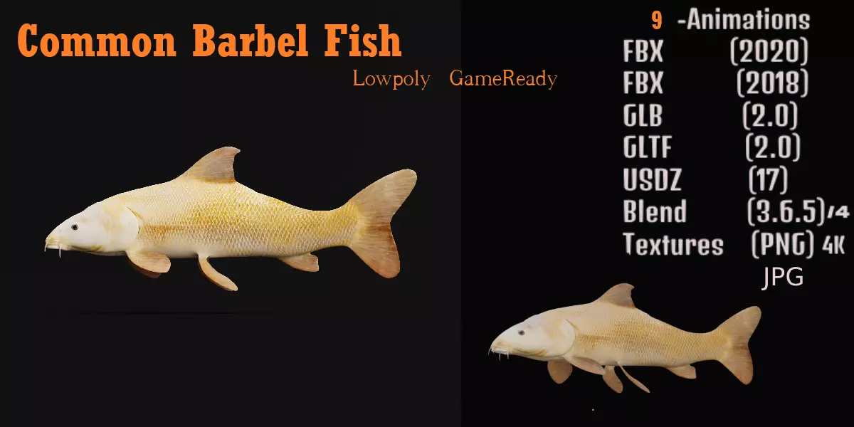 Common Barbel Fish Low-poly 3D model
