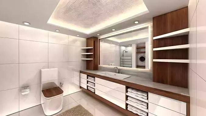  Modern Bathroom Design