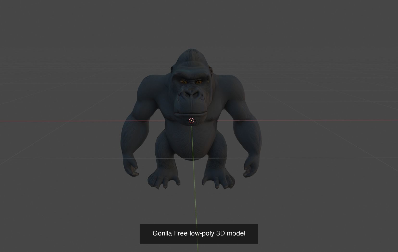 Animal Collection _8