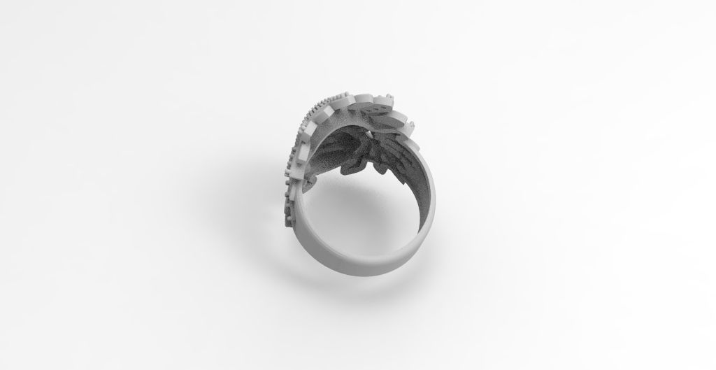 ANILLO INDIO  3D print model_1