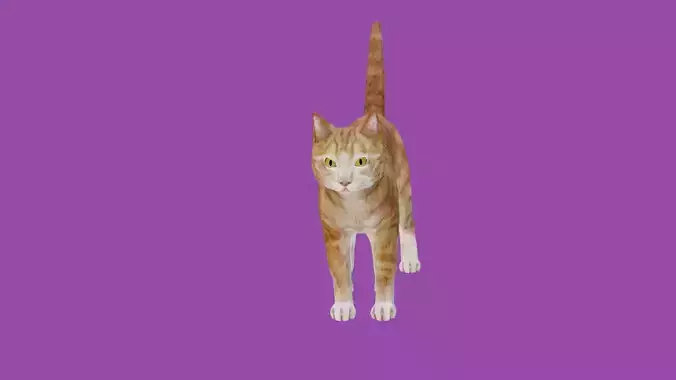 cat lowpoly 3d model
