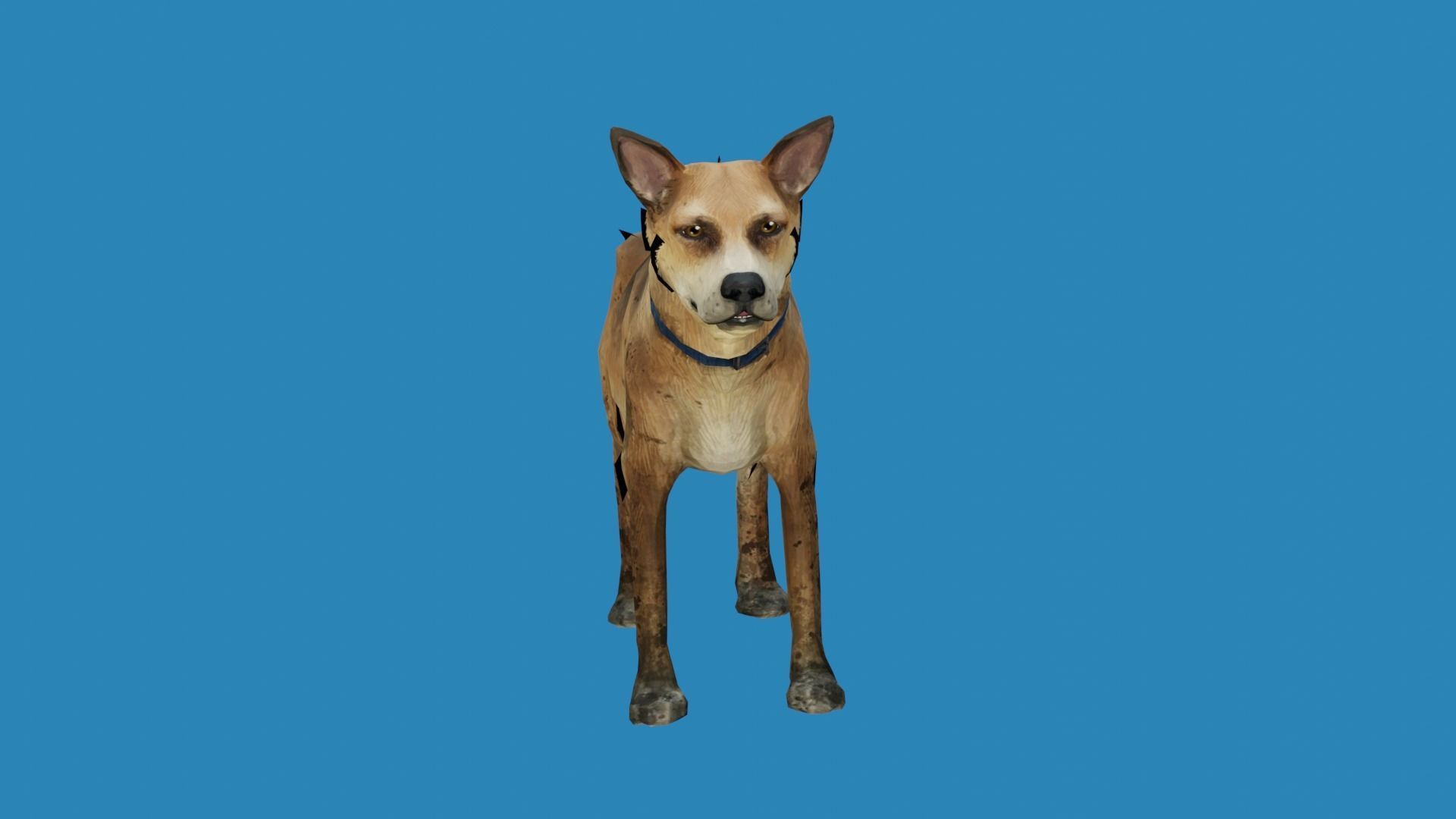 dog lowpoly 3dmodel 3D model_4