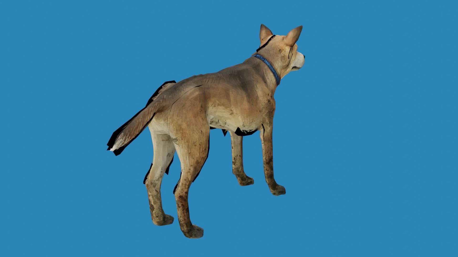 dog lowpoly 3dmodel 3D model_2