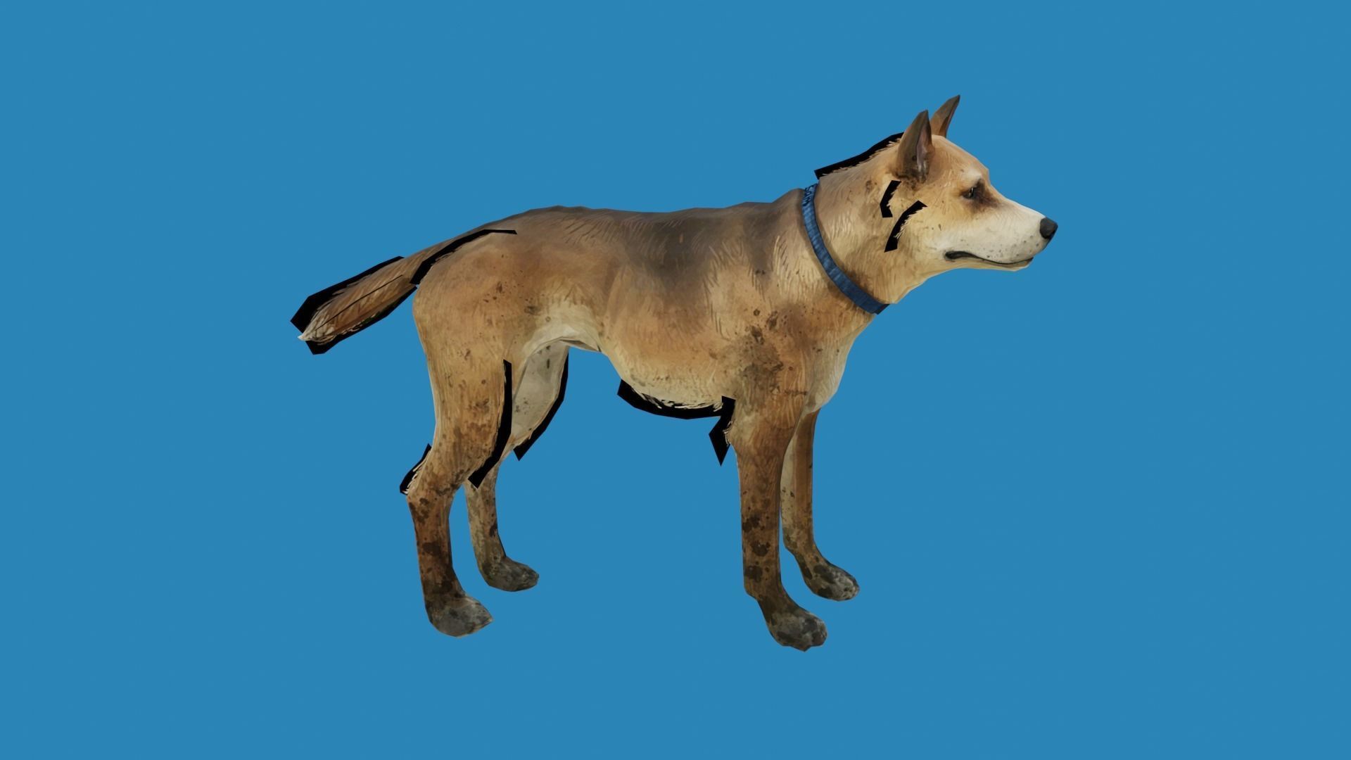 dog lowpoly 3dmodel 3D model_3