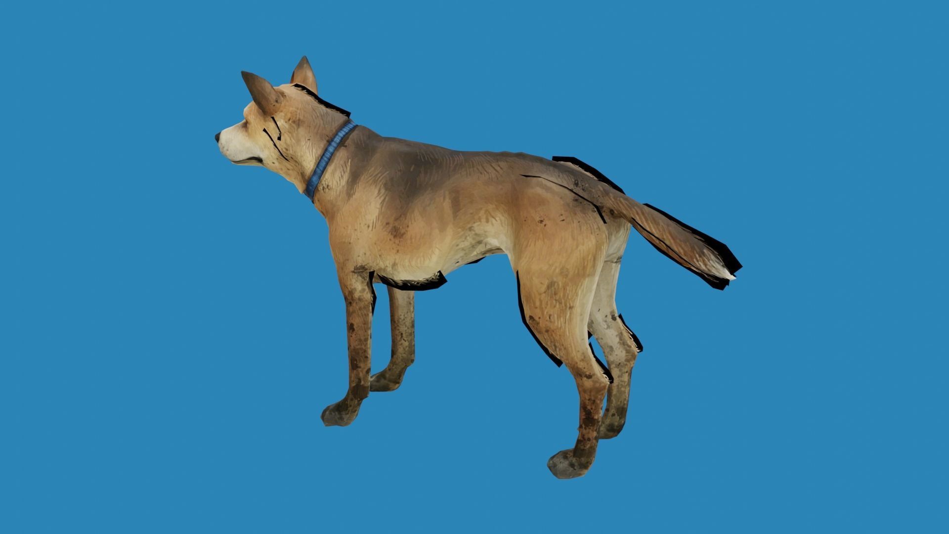 dog lowpoly 3dmodel 3D model_5