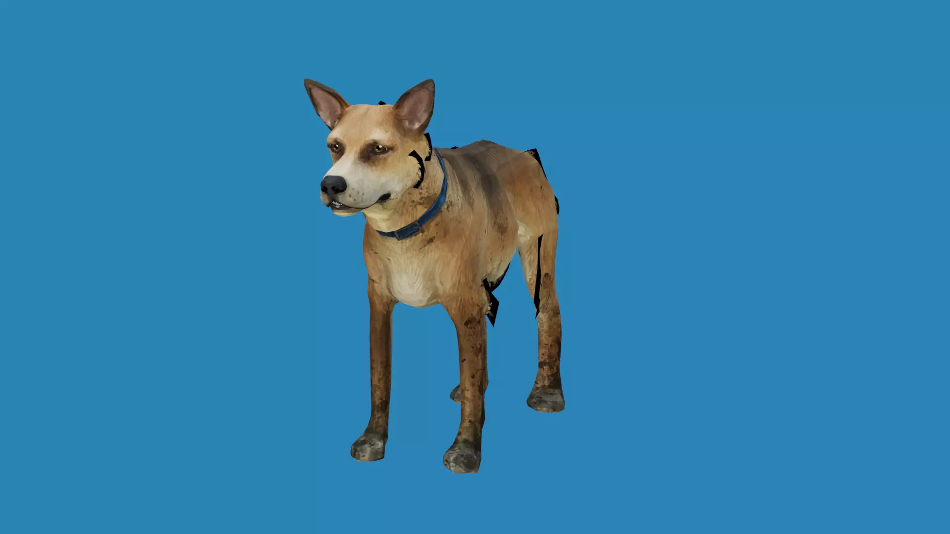 dog lowpoly 3dmodel 3D model_0