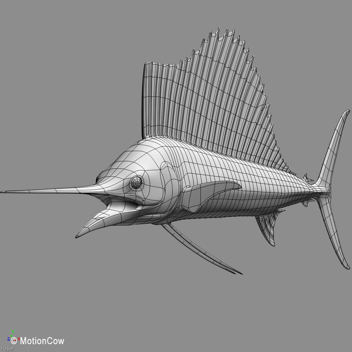 Sailfish 3D model_13