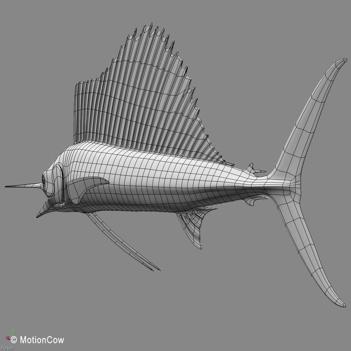 Sailfish 3D model_14