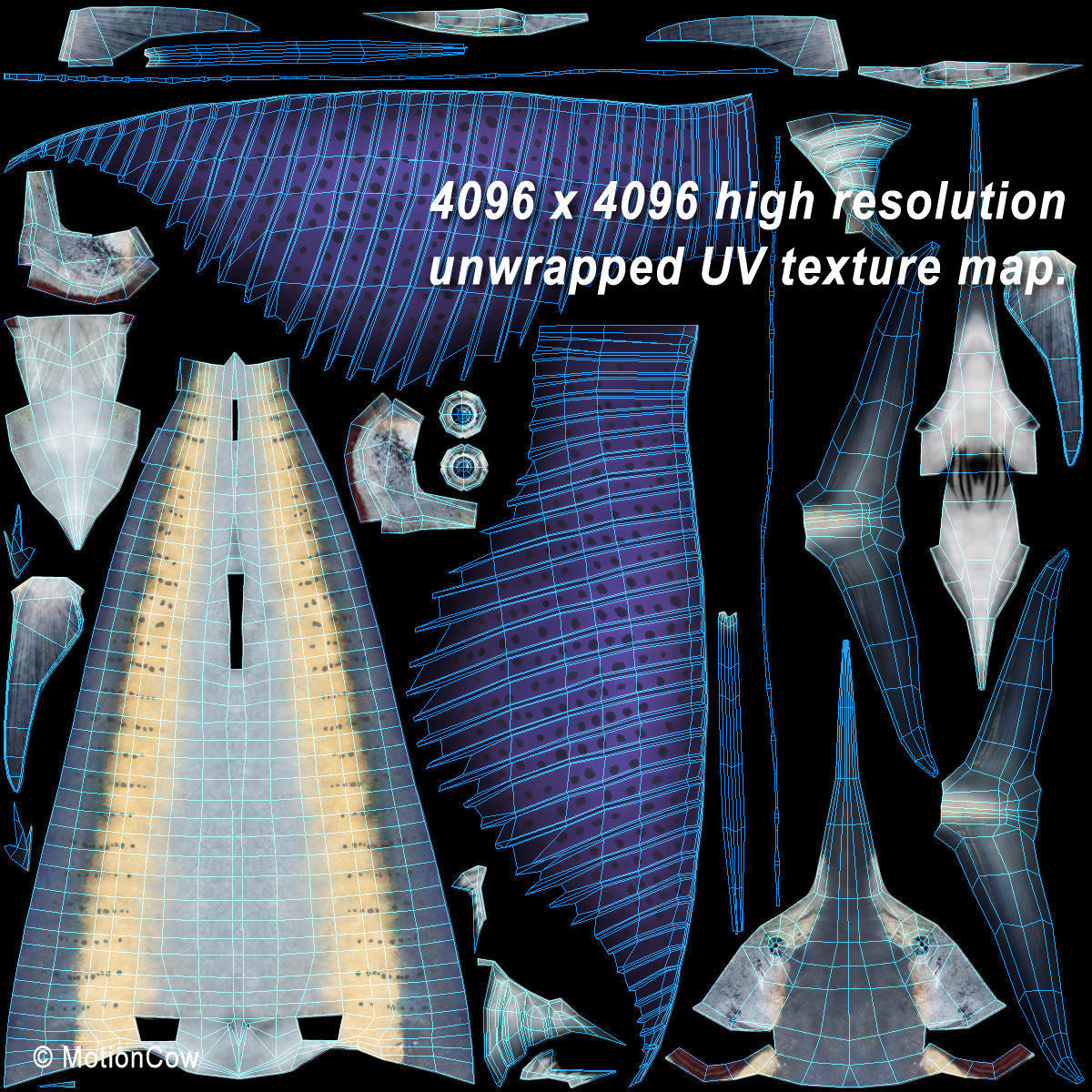 Sailfish 3D model_15