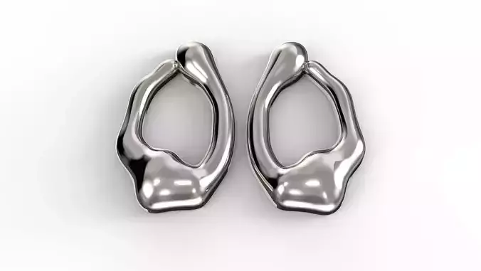 Pair of Contemporary Organic Earrings V2