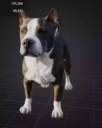 American pitbull terrier 3D model