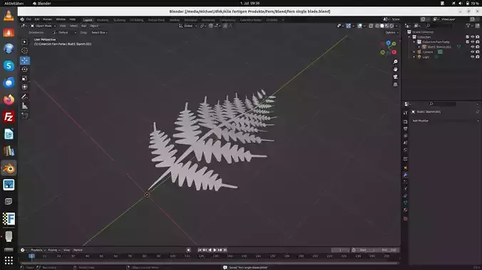 Fern single leaf and complete bush