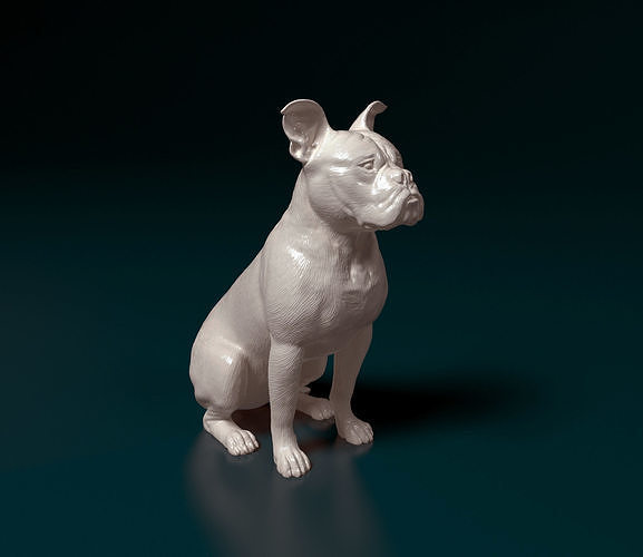 English Bulldog  3D print model