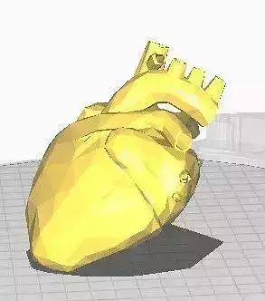 anatomical heart low poly