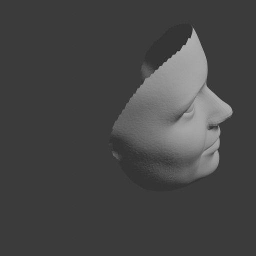 PopFace BaseMesh - Karen Gillan 3D model_11